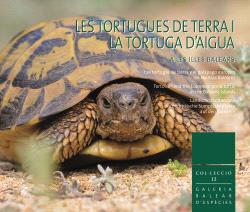 Les tortugues de terra i la tortuga d’aigua a les Illes Balears